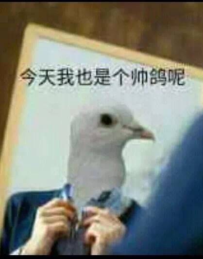 今天我也是个帅鸽呢