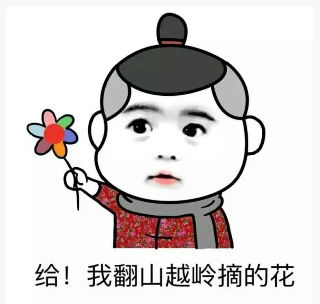 给！我翻山越岭弄的花