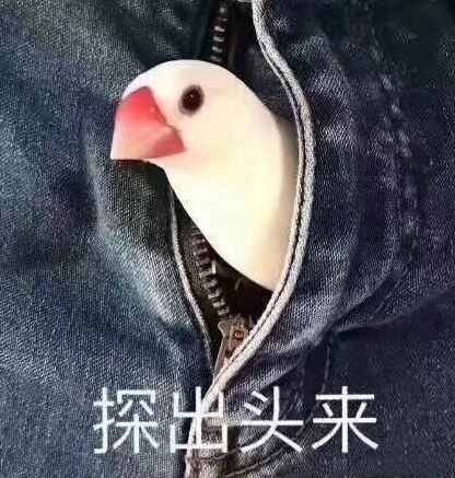 探出头来