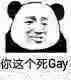 你这个死Gay