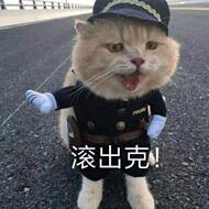 滚出克（小猫警察）