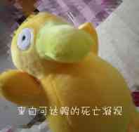 来自可达鸭的凝视