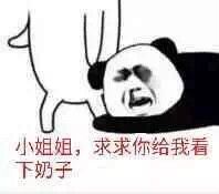 小姐姐，求求你给我看下奶子！