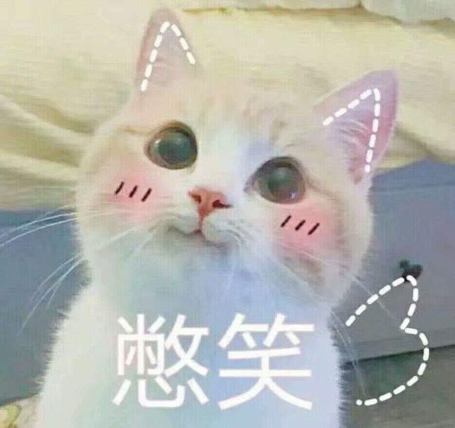 憋笑（小猫）