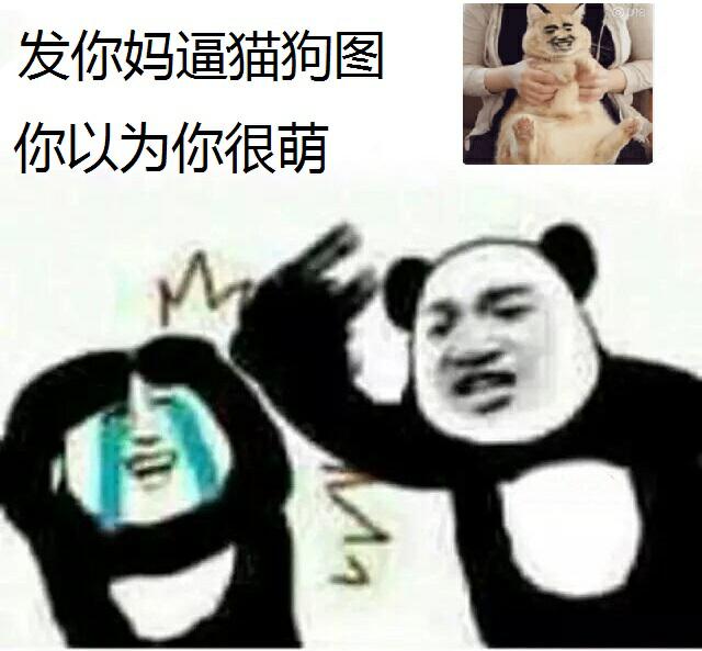 发你妈逼猫狗图，你以为你很萌