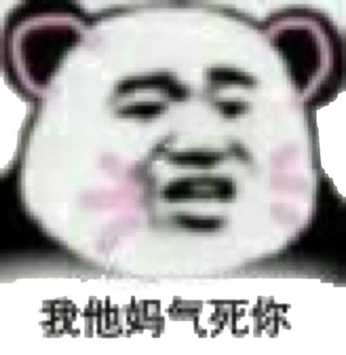 我他妈气死你