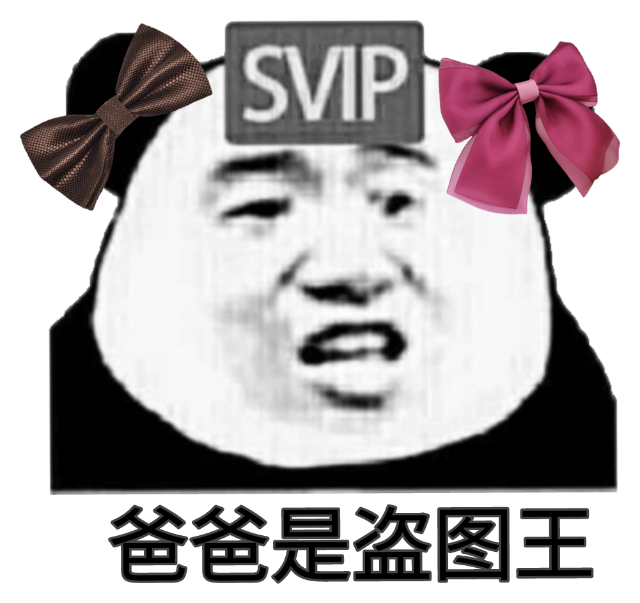 爸爸是盗图王（SVIP）