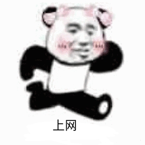 上网