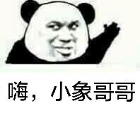 嗨,小象哥哥