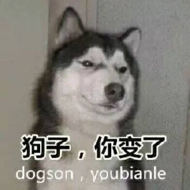 狗子，你变了