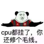 cpu都挂了，你还修个毛线？