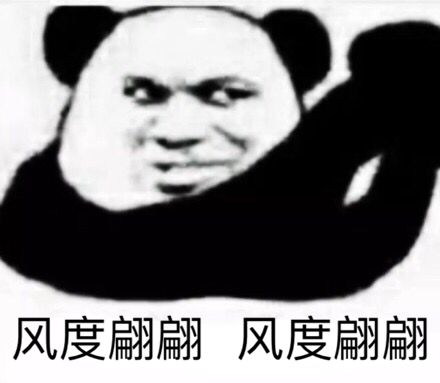 风度翩翩风度翩翩