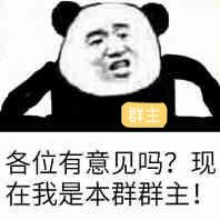 各位有意见吗？现在我是本群群主！