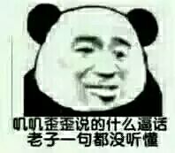 唧唧歪歪说的什么逼话，老子一句都没听懂