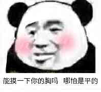 能摸一下你的胸吗？哪怕是平的