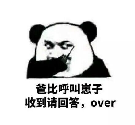 爸比呼叫崽子，收到请回答,over