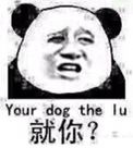 主你？（your dog the lu）