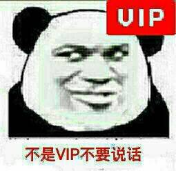 不是VIP不要说话