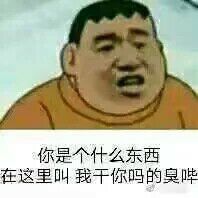 你是个什么东西，在这里叫我干你吗的臭哔。