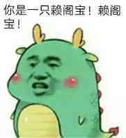 你是一只赖阁宝!赖阁宝!