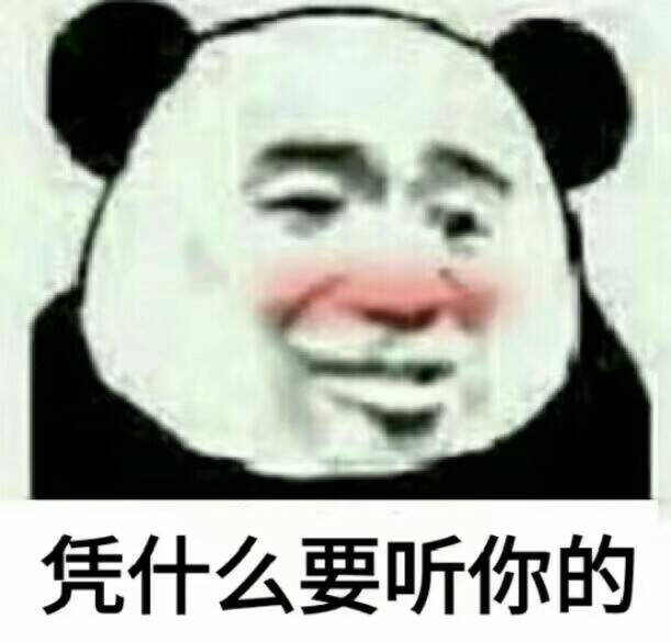 凭什么要听你的