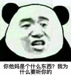 你他妈是个什么东西？我为什么要听你的？