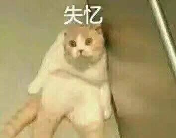 失忆（小猫）