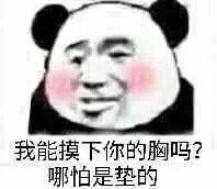 我能摸下你的胸吗？哪怕是垫的！