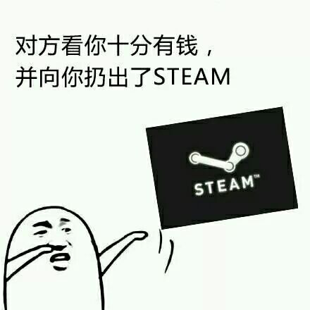 对方看你十分有钱，并向你扔出了STEAM