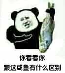 你看看你 跟这咸鱼有什么区别