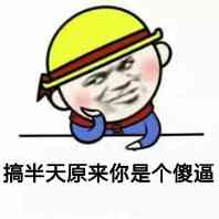 搞半天原来你是个傻逼！