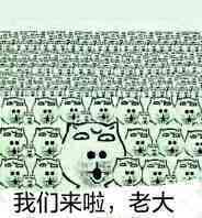 我们来啦，老大！·