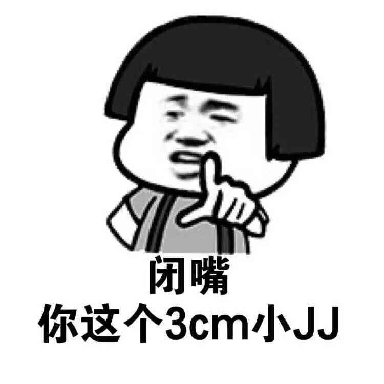 闭嘴，你这个3CM小JJ