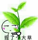 握了个大草