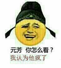 元芳你怎么看 我认为他疯了