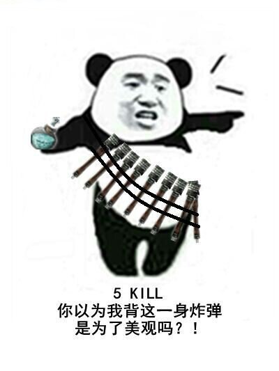 你以为我背的这一身炸弹是为了美观吗？ 5 kill