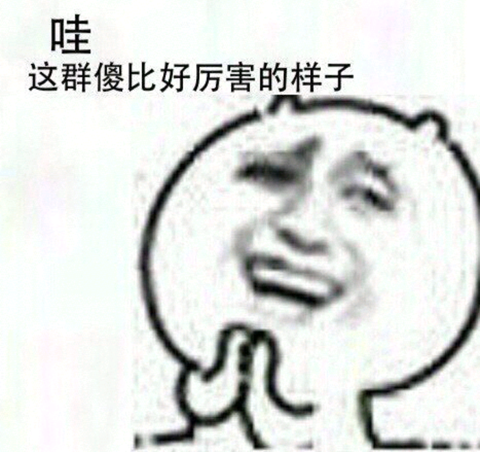 哇，这群傻比好厉害的样子