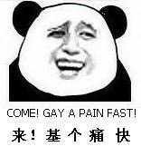 来！基个痛快。COME!GAY A PAIN FAST!