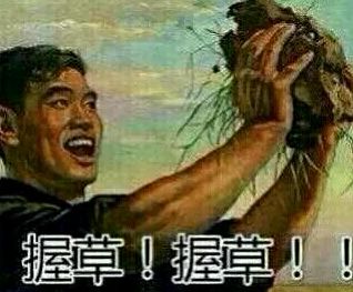 老画报：握草！握草！