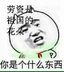 劳资是祖国的花朵，你是个什么东西