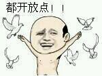 都开放点 小鸟飞起来