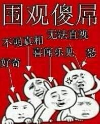 围观傻屌 好奇 不明真相 喜闻乐见 无法直视 怒