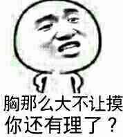 胸那么大不让摸你还有理了？