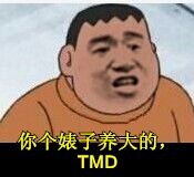 大熊：你个婊子养大的 TMD