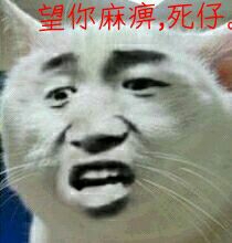 猫：望你妈逼 死仔