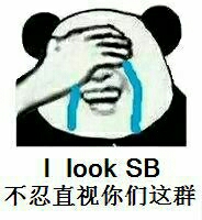 不忍直视你们这群 I look sb