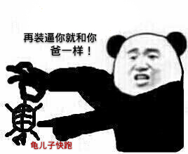 再装逼你就和你爸一样！龟儿子快跑