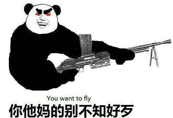 持枪：你他妈的别不知好歹 You want to fly