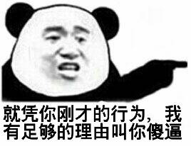 就凭你刚才的行为，我有足够的理由叫你傻逼