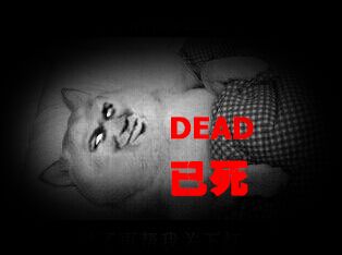 躺在床上的狗：dead 已死